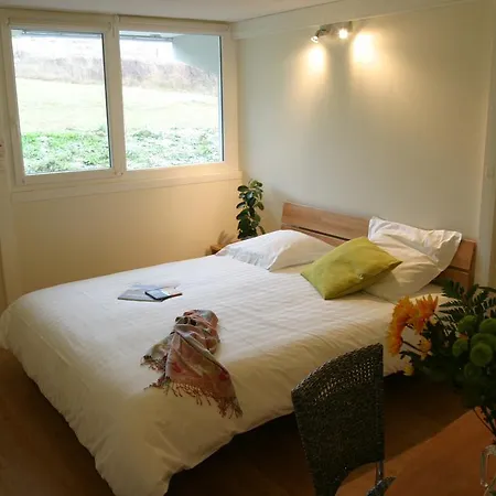 酒店 皮埃尔布兰奇酒店